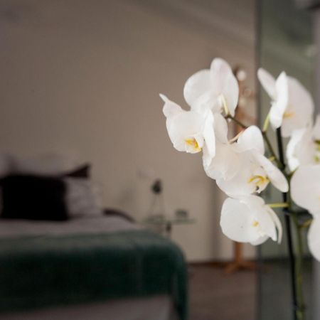 Bed and Breakfast San Clemente Crema Exteriér fotografie